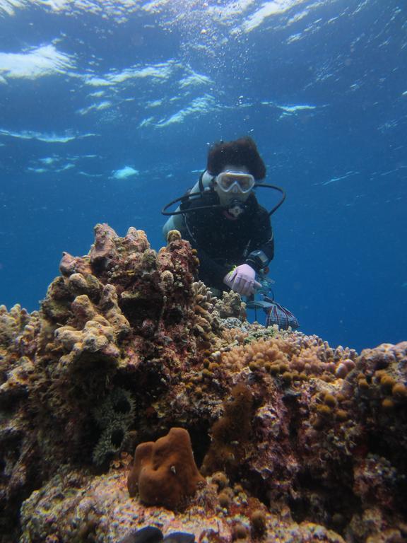 Nusantara Diving Centre Resort & Spa Manado Exteriér fotografie